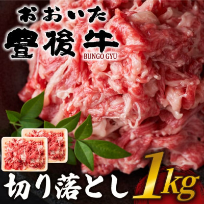 
            おおいた豊後牛切り落とし 1kg(500g×2P)(日出町)【1571547】
          