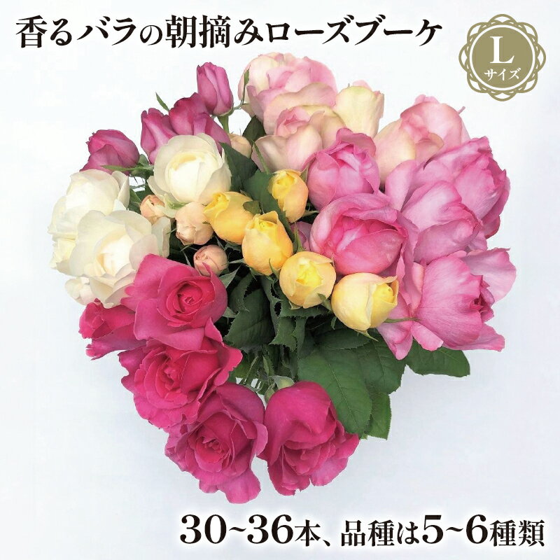 【ふるさと納税】 バラ 花束 ブーケ 朝摘み Lサイズ 薔薇 ばら パフューム ローズ 生花 ギフト プレゼント 祝い 母の日 卒業式 贈り物 贈答 記念日 プロポーズ 香り 誕生日 結婚祝い 還暦祝い アレンジメント フラワーギフト 花言葉 ロマンチック サプライズ 藤枝市 静岡県