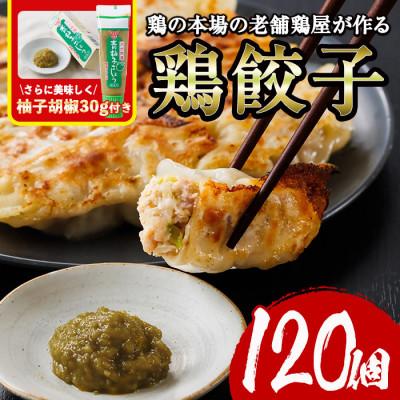 ふるさと納税 門川町 鶏の本場の老舗鶏屋が作る味鶏の餃子セット(12個×10P)