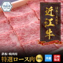 【ふるさと納税】【冷蔵でお届け可】 近江牛 焼肉用 特選 ロース 肉 500g 牛肉 霜降り 一頭買い 香り 味わい 歯ごたえ 柔らか とろける サシ ギフト 贈答 お土産 手土産 冷蔵 日時指定 お取り寄せ グルメ バーベキュー BBQ パーティー お取り寄せ グルメ 送料無料