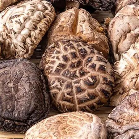 大分県産乾椎茸　上どんこ(120g)_惣菜・加工品 乾物    野菜 しいたけ きのこ シイタケ 椎茸_【1115934】