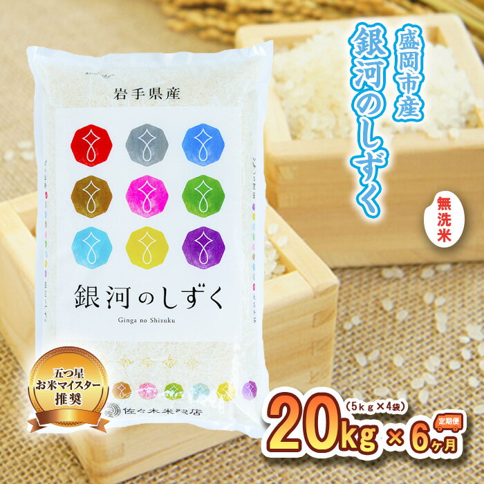 【ふるさと納税】米 定期便 6ヶ月 銀河のしずく 無洗米 20kg(5kg×4) お米 精米 白米 こめ コメ おこめ ごはん お米マイスター 推奨 ブランド米 常温 国産 岩手県 岩手 盛岡市産 定期 お楽しみ 6回