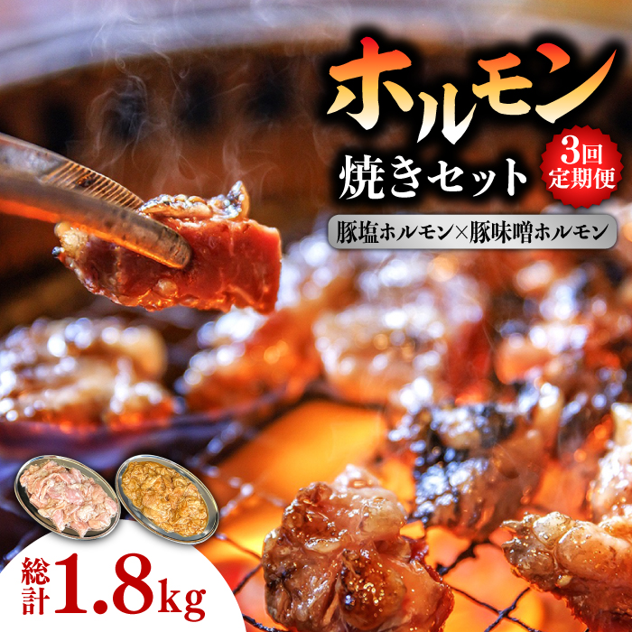 【3回 定期便 】ホルモン 塩焼き・ニンニク味噌焼きセット 総計1.8kg / 肉 豚肉 直腸 豚テッポウ 希少部位 国産 / 南島原市 / はなぶさ[SCN137]