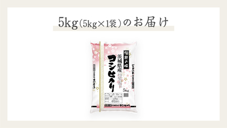 《 令和5年産 》 茨城県産 コシヒカリ 5kg ( 5kg × 1袋 ) 期間限定 こしひかり 米 コメ こめ 五ツ星 高品質 白米 精米 時短 単一米