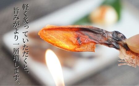 【訳あり！ほたるいか素干し たっぷり300ｇ！】(100g×3袋)（約150～200尾）入金確認後順次発送  兵庫県香住漁港で水揚げされた新鮮なほたるいかを使用 昔ながらの製法で丁寧に素干し 日本酒・