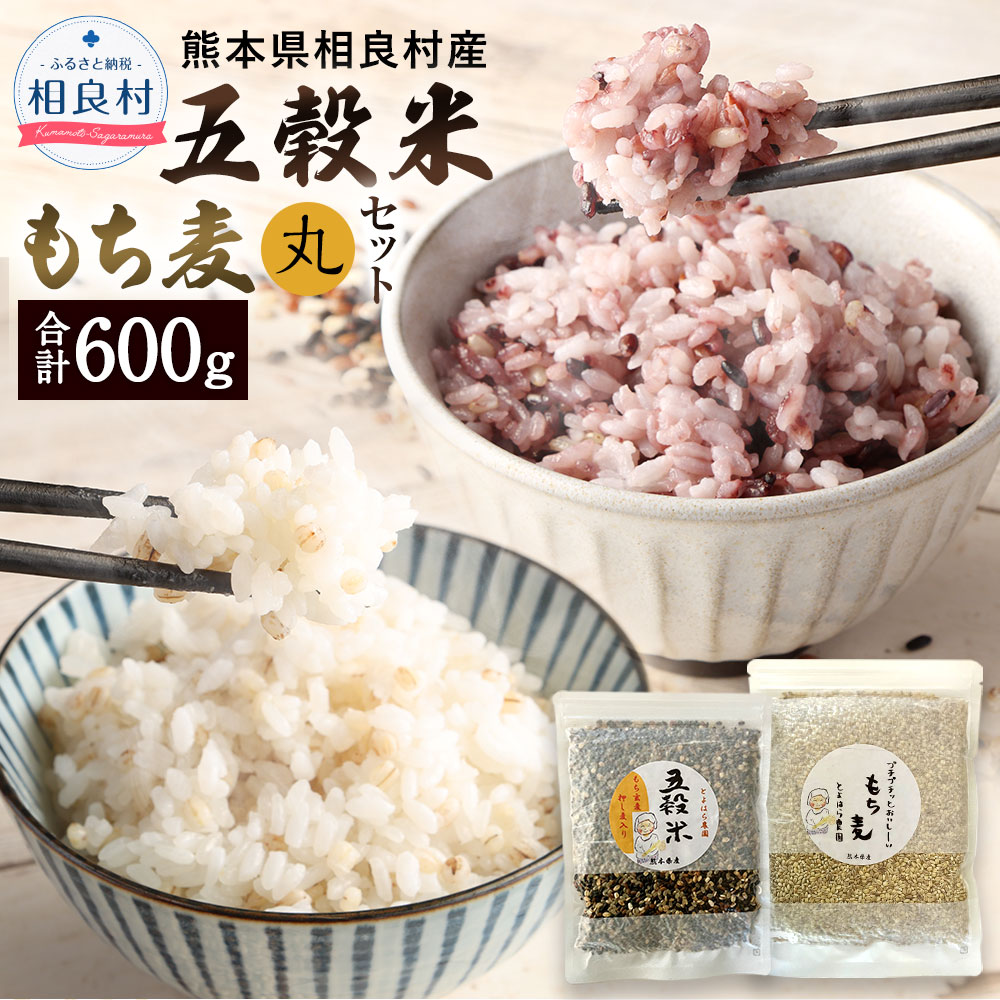 【ふるさと納税】五穀米ともち麦(丸)セット 2種セット 五穀米 250g×1袋 もち丸麦 350g×1袋 計600g 五穀米 もち麦 丸麦 うるち玄米 黒米 押し麦 赤米 ブレンド 雑穀米 雑穀 玄米 常温 相良村産 国産 熊本県産 送料無料