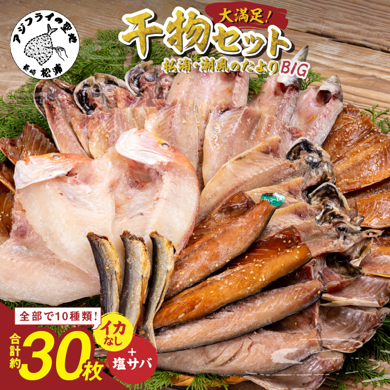 松浦・潮風のたより Ｂｉｇ(イカなし＆サバ増量) ( 松浦市 アジ サバ カマス レンコダイ 干物 アジ開き サバフィレ 一夜干し 詰め合わせ )【B5-129】