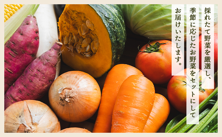 やすらぎ市 産地直送やさいＢＯＸ（7種類前後） - 野菜 ベジタブル おまかせ 詰め合わせ セット 季節 旬 お任せ お楽しみ ヘルシー 国産 特産品 送料無料 やすらぎ市 高知県 香南市 yr-00