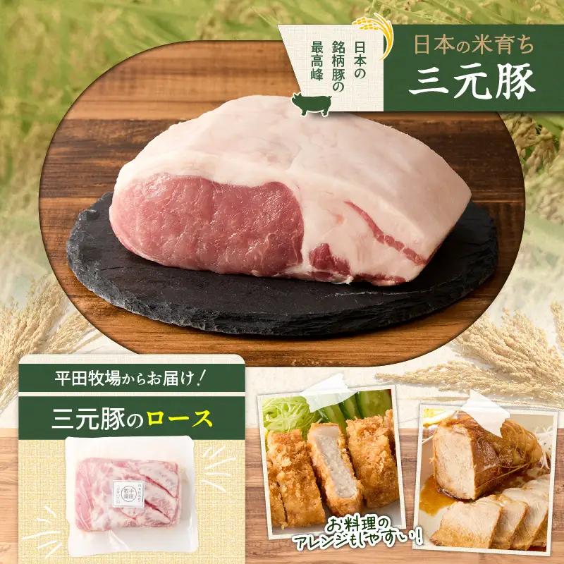 【 全12回 毎月 定期便 】 日本 の 米育ち 平田牧場 三元豚 ロース ブロック 1.2kg T036-T07-03 肉 豚肉