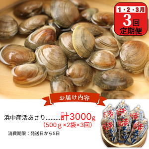 ＜連続1月・2月・3月お届け＞《先行予約・期間限定》浜中町産活あさり定期便　(500g×2袋×3回)総重量3kg_H0023-008