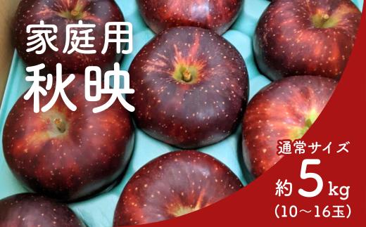 KR29-25A りんご 秋映 家庭用 約5㎏（10～16玉） / 10月上旬頃～配送予定 // 長野県 南信州 松川町産 リンゴ 林檎 訳あり 自家用 家庭用 あきばえ 農家直送 農家支援 産地直送