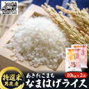 【ふるさと納税】R6年度産 先行予約 【あきたこまち】なまはげライス特選米10kg×2袋/計20kg　精米・お米・あきたこまち・米・秋田県産