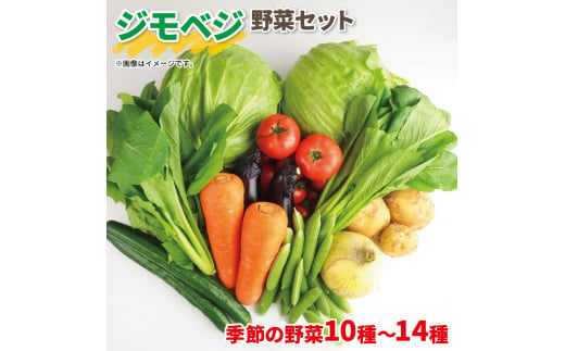 野菜 詰め合わせ 産地 直送 10~ 14種 減農薬 栽培 旬 採れたて やさい 家庭用 健康 食材 静岡県 藤枝市 