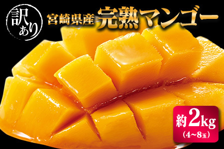 宮崎県産「訳あり」完熟 マンゴー 約2kg（4～8玉）先行予約 南国 フルーツ 果物【C400-26】