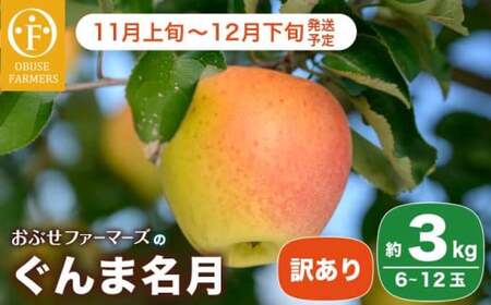 【訳あり】 ぐんま名月 約3kg 6～12玉 ［おぶせファーマーズ］  不揃い 規格外 家庭用 果物 フルーツ りんご リンゴ 林檎 長野県産 信州産 令和8年産 【2026年11月上旬～12月下旬発