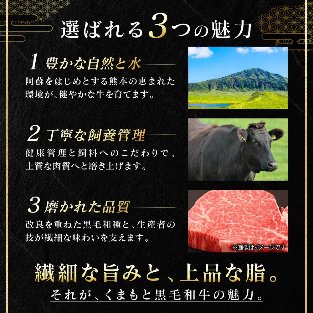 牛肉 くまもと黒毛和牛 切り落とし 400g （400g×1パック） A4～A5ランク 牛肉