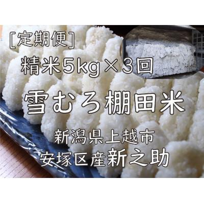 ふるさと納税 上越市 【毎月定期便】雪むろ棚田米 新之助 5kg 精米《新潟県上越市安塚区産》全3回