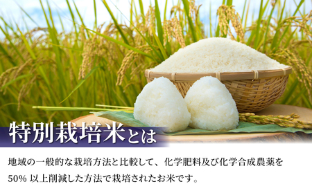 東御市産の特別栽培米「風さやか」約10・（R5年度産新米）｜国産 長野県産 お米 こめ 白米 ※11月下旬～2月下旬頃に順次発送予定