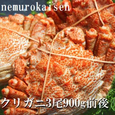 ふるさと納税 根室市 &lt;12/21まで年内配送&gt;★クリガニ3尾(計900g前後) A-57057