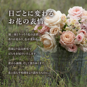 マンスリーブーケ 10本 １年間お届け（12ヶ月）Rose Farm KEIJI ふるさと納税 デザインが毎月変わる マンスリーブーケ ブーケ 花束 贈り物 WABARA 10本 わばらの枝