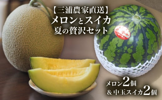 【三浦農家直送】メロンとスイカ夏の贅沢セット　M003-009