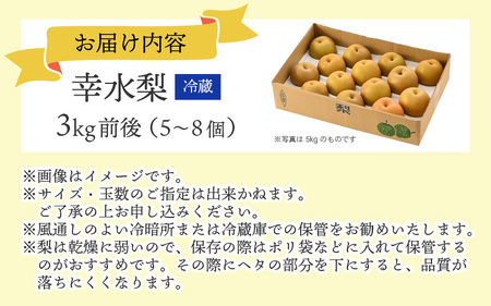 【先行予約】【幸水梨】3kg前後 (5~8個) たっぷりの果汁を含んだジューシーな梨！【2026年8月中旬以降順次発送予定】【梨 なし 和梨 先行予約 フルーツ 甘い みずみずしい 果実 果物 新鮮 