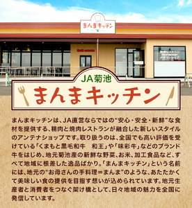 和王 サイコロステーキ 約500g 菊池地域農業協同組合(JA菊池まんまキッチン)《90日以内に出荷予定(土日祝除く)》熊本県 菊池市 くまもと黒毛和牛 和牛 牛肉 お肉 ステーキ 熊本県産 九州産 