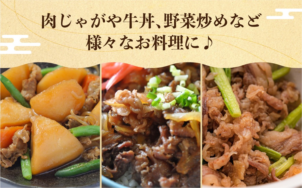 飛騨牛 切り落とし 800g 訳あり JA 不揃い 牛肉 スライス 切落し 和牛 すき焼き すきやき 肉 切り落とし 牛肉 20000円 2万円 人気 おすすめ ランキング JAひだ [S493] 