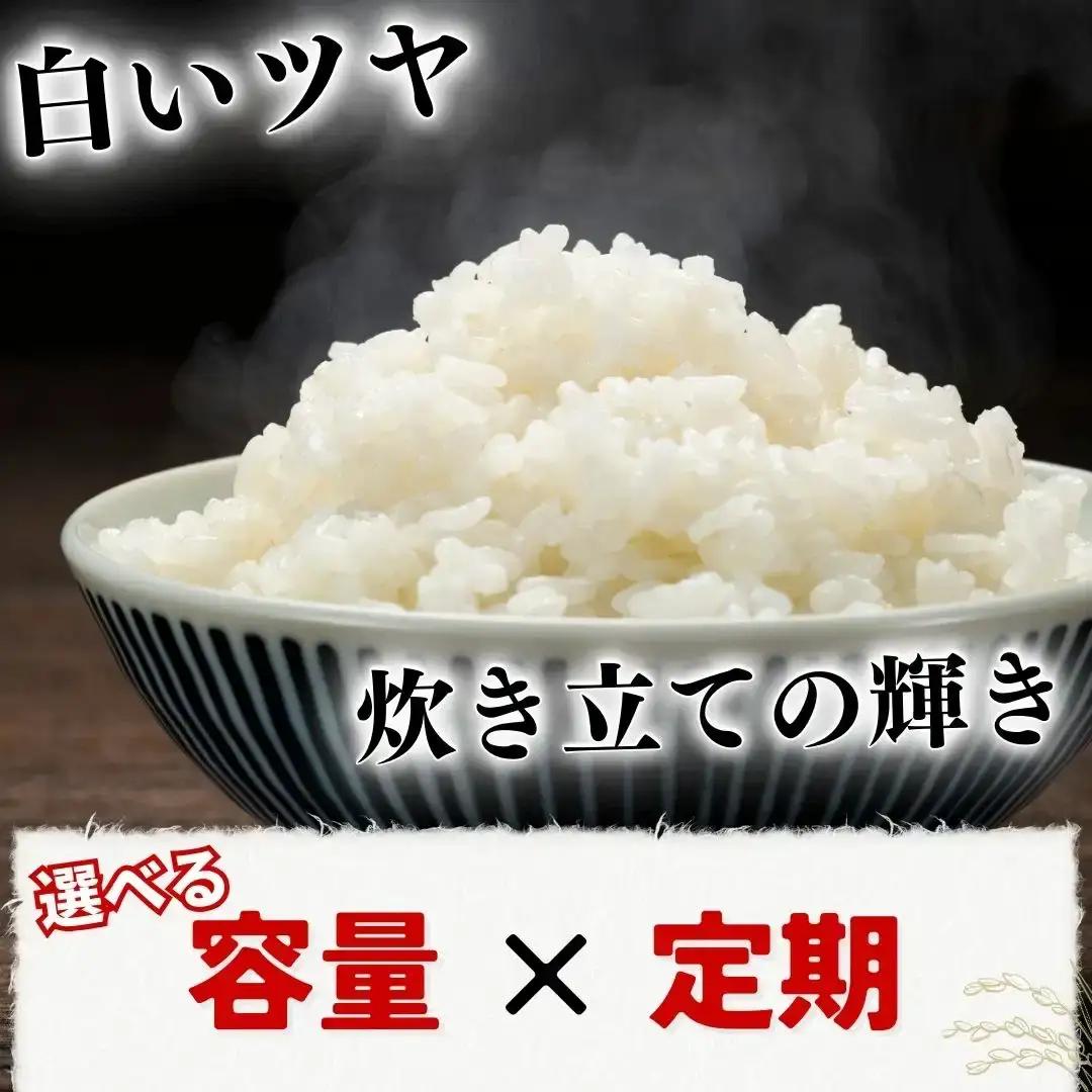 【令和7年産米】 新潟県三条市産 新之助 精米 10kg