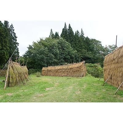 ふるさと納税 阿賀町 黒米お赤飯・黒米・薬膳五穀米のセット |  | 02