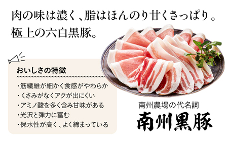 1394 南州農場 黒豚焼豚詰合せ（化学調味料不使用）＜NN-3129＞ KN005-002 チャーシュー 豚肉 加工品 鹿児島黒豚 黒豚 ふるさと納税 鹿児島 鹿屋市 おすすめ ランキング プレゼン