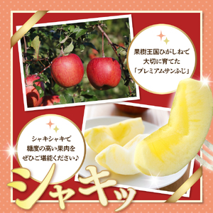 【2025年産 先行予約】 りんご「【横綱】サンふじ」5kg JA提供 山形県 東根市 hi003-140-1  令和7年産 2025年産 リンゴ 林檎 アップル サンふじ フルーツ 果物 くだもの 