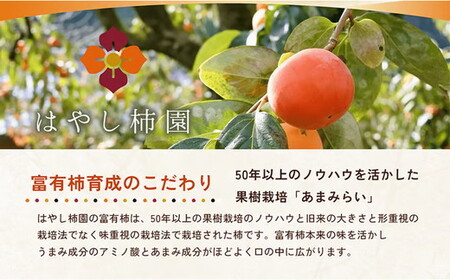 【先行予約】【訳アリ】はやし柿園のご家庭用 富有柿 M~Lサイズ 約5~6個（お試し用） | 柿 カキ かき 訳アリ わけあり 果物 フルーツ 予約 高糖度 濃厚 秋の味覚 旬 お取り寄せ お取り寄せ