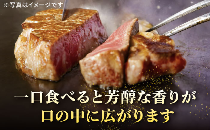 特選 壱岐牛 ヒレステーキ 180g×5枚《壱岐市》【太陽商事】[JDL023] 肉 牛肉 ヒレ ひれ フィレ ステーキ ヒレステーキ シャトーブリアン BBQ 焼肉 赤身 80000 80000円 