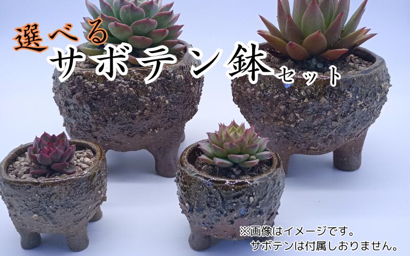 【ふるさと納税】眞名焼 サボテン鉢 小＋特大サイズ　｜鳥取 岩美 鉢 丸型 角型【71016】
