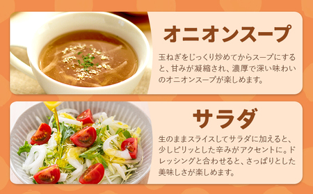 玉ねぎ たまねぎ 玉葱 約10kg サイズ混合《12月上旬-1月下旬より順次出荷》嶋崎農園 送料無料 北海道 本別町 北海道 十勝 本別町産 オニオン カレー サラダ スープ 野菜