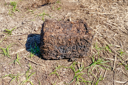 家庭菜園やカブトムシ・クワガタムシのマットに。廃菌床12個入り【サステナブル 家庭菜園 土壌 再利用 廃菌床】