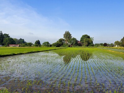【ふるなび限定・期間限定】新米 10kg 銀河のしずく 厳選プレミアム 極 米 FN-Limited-SP【2320】
