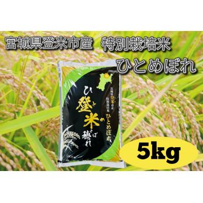ふるさと納税 宮城県 【令和7年産】宮城県登米市産　特別栽培米ひとめぼれ 5kg