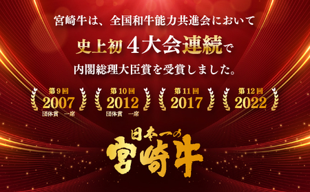 KU032 ＜宮崎牛＞こま肉300g×2袋（計600g)美味しい牛肉をご家庭で【KU032】