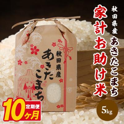 ふるさと納税 八郎潟町 【毎月定期便】あきたこまち 家計お助け米 5kg【白米】 秋田県産全10回