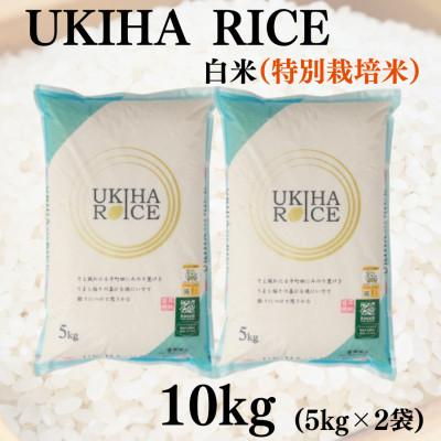 ふるさと納税 うきは市 UKIHA RICE 白米10kg(特別栽培米)063-0064