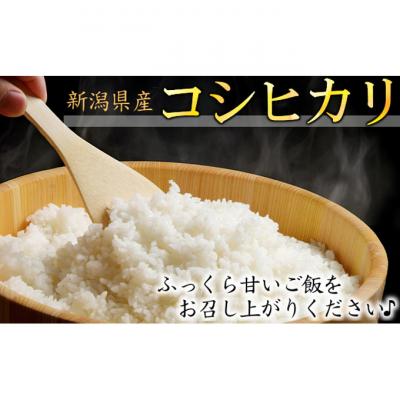 ふるさと納税 新潟市 カガヤキ農園 新潟県産特別栽培米 コシヒカリ 5kg[54070004]