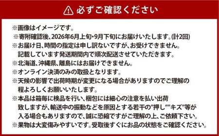 【全2回定期便】家庭用 シャインマスカット 晴王 2房（1房約530g以上）＋ NEWS PAPER BAG（INDIGO） フルーツ 果物 ブドウ ぶどう 葡萄 シャインマスカット マスカット 国産