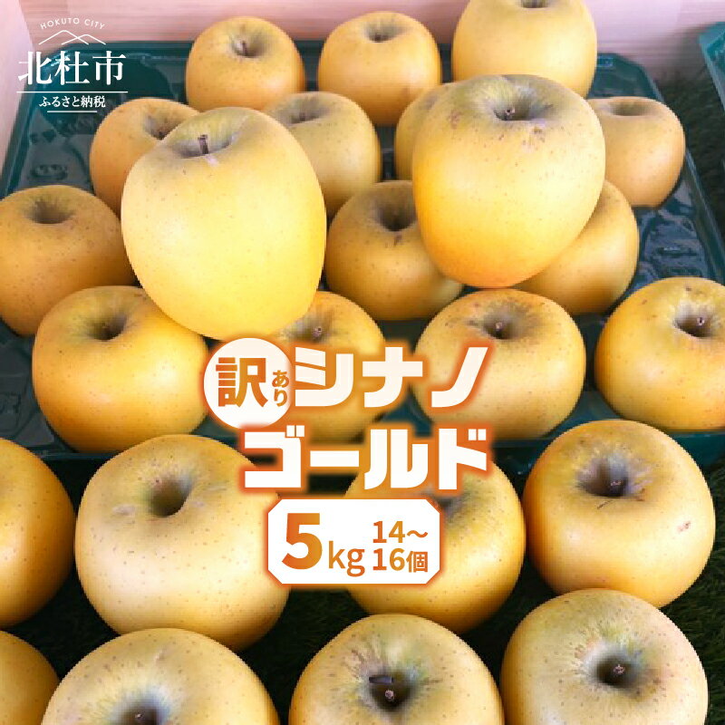 【ふるさと納税】 りんご 訳あり 2025年先行予約 山梨県産 シナノゴールド 期間限定 5kg 14個～16個 家庭用 規格外 フルーツ 果物 果実 山梨 北杜市 送料無料