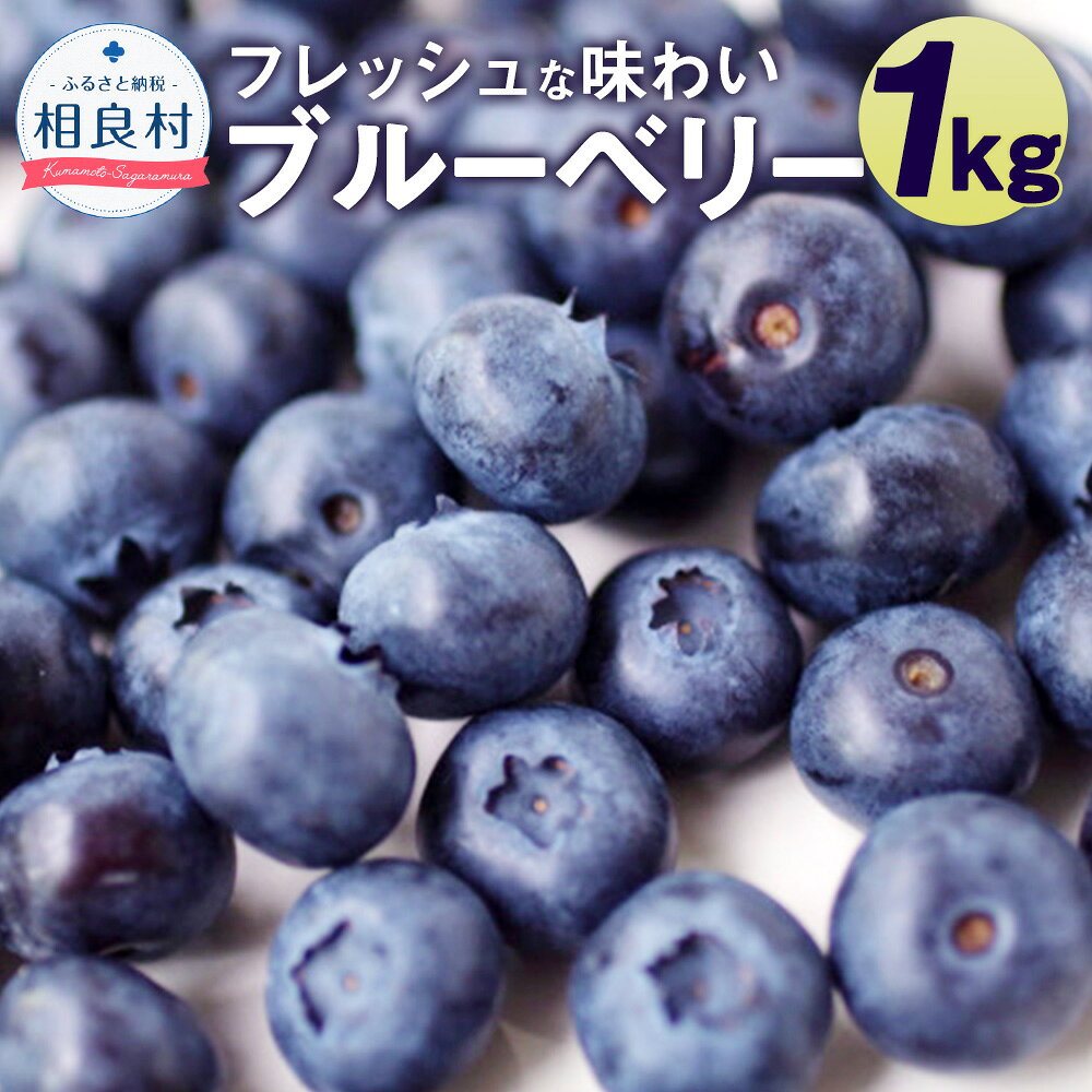 【ふるさと納税】相良村産 ブルーベリー 1kg 数量限定 とよはら農園 国産 果物 くだもの 旬 生 青果 新鮮 フレッシュ フルーツ ベリー おすすめ スムージー ジャム ヨーグルト 冷蔵 九州産 熊本県産 相良村 送料無料 【2027年6月下旬-8月下旬発送予定】