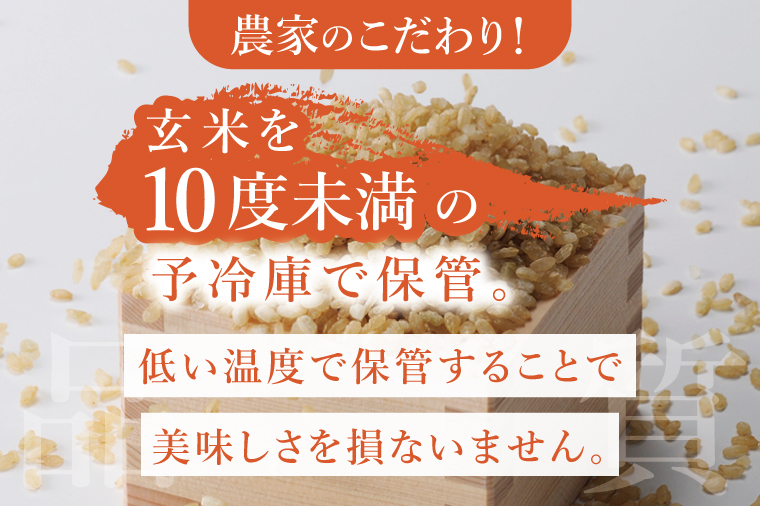 【数量限定】【家計応援】令和7年産　 農家直送 コシヒカリ 10kg【米 こしひかり ごはん おにぎり 水戸市 水戸 茨城県 】(KV-6)