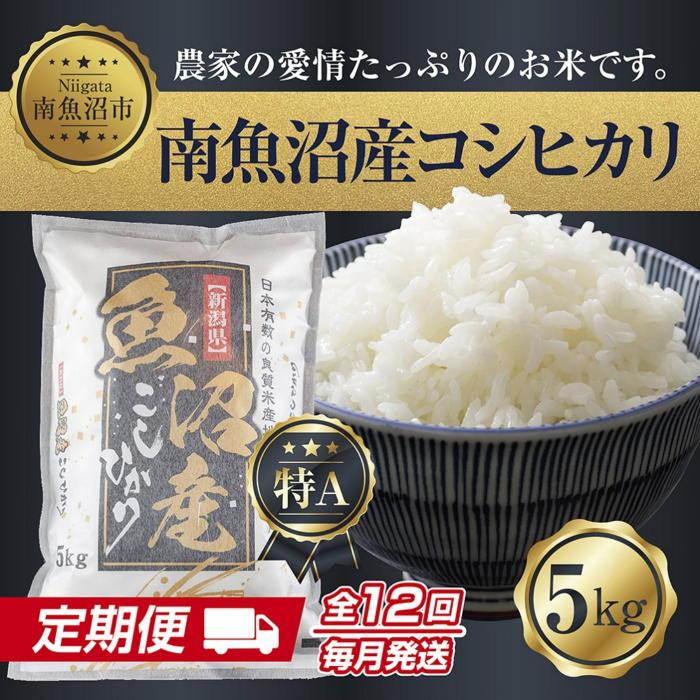【令和7年産新米】【定期便】新潟県 南魚沼産 コシヒカリ お米 5kg×計12回 精米済み 年間 毎月発送 （お米の美味しい炊き方ガイド付き）【2025年10月中旬より順次発送予定】