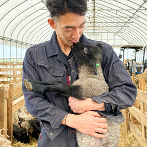 【 希少 】 国産 100％ 羊肉 ソーセージ 『 メルゲーズ 』 2パック ( 4本 ×2 ) 冷凍 真空パック 長期保存 | 加熱用 バーベキュー おつまみ 岩手県 金ケ崎町 羊飼い 山本ファーム