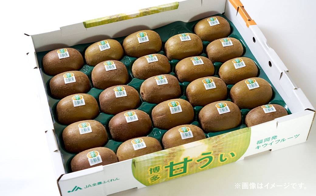 福岡県産 キウイ 甘うぃ 約1.5kg （12～17玉）